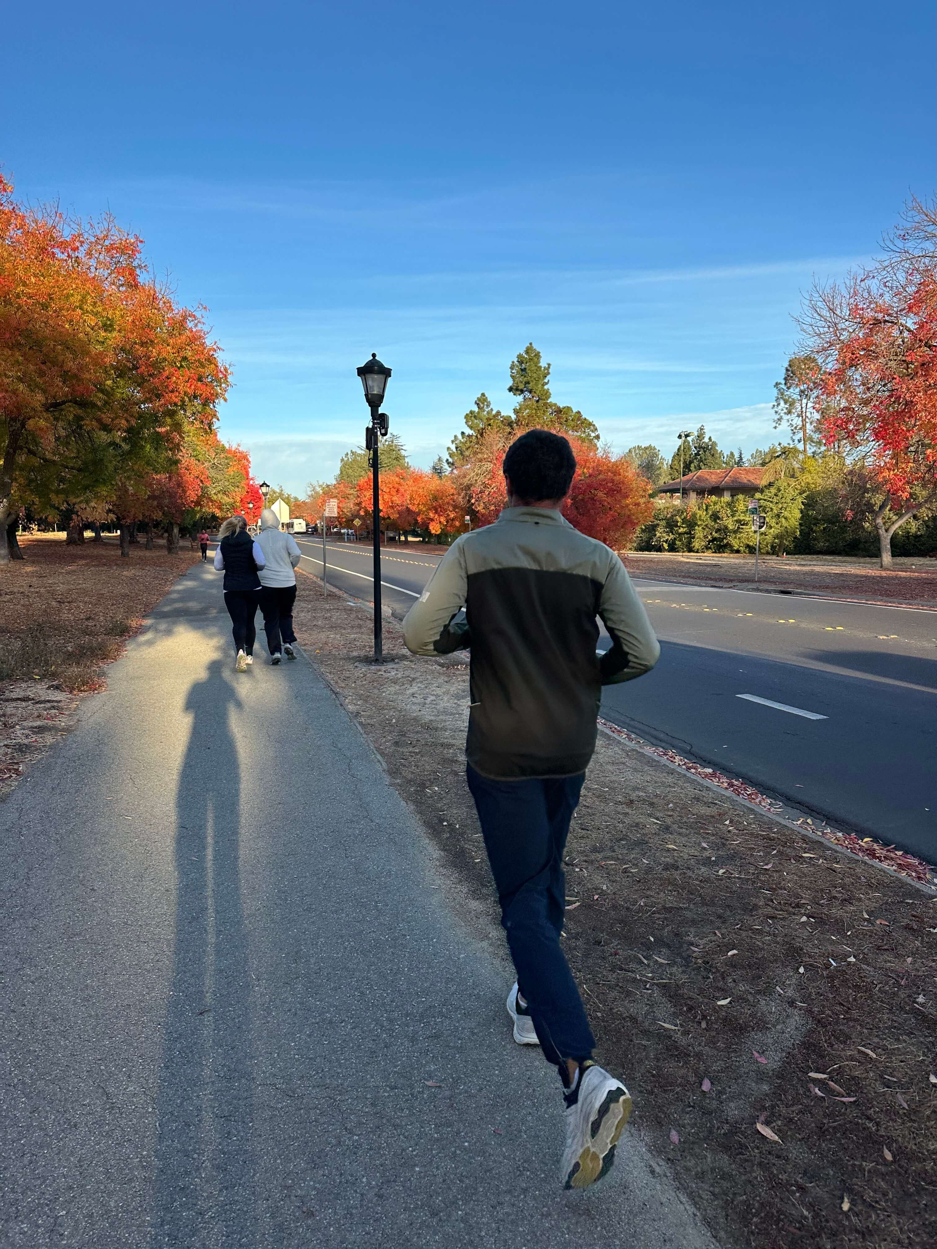 Early Morning Run 1