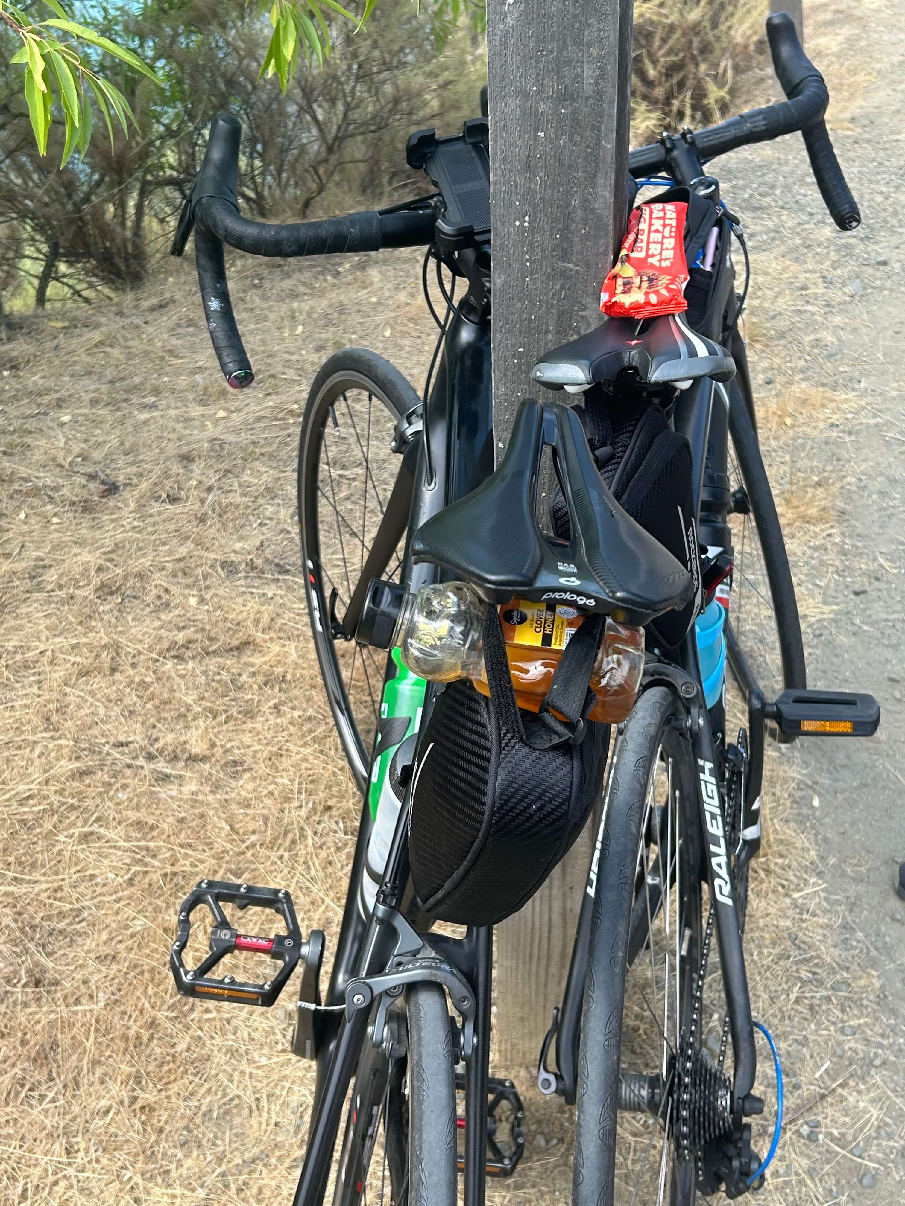 Successful Santa Cruz 5